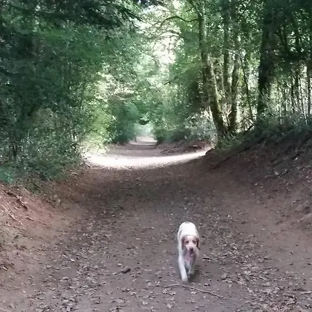 Saint Michel 2 Etoiles Casa de Férias