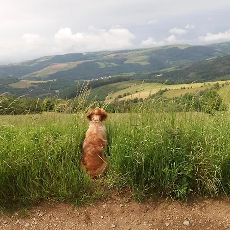 Saint Michel 2 Etoiles Dom wakacyjny *