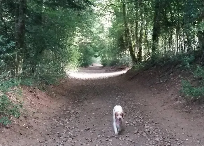 Saint Michel 2 Etoiles Prázdninový dům